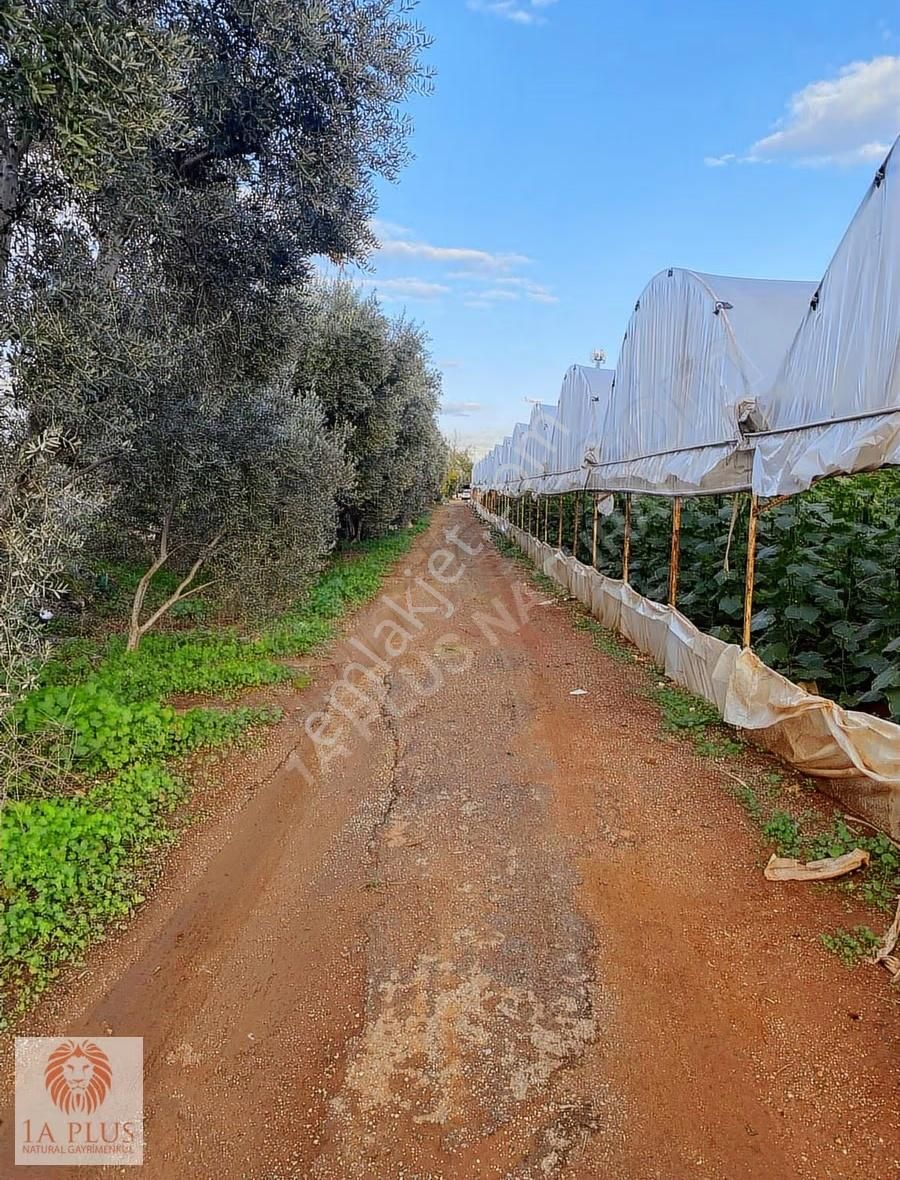 Altınovada Anayola Yakın Havalimanı Mevk 10.034m2 Satılık Arsa - Görsel 7