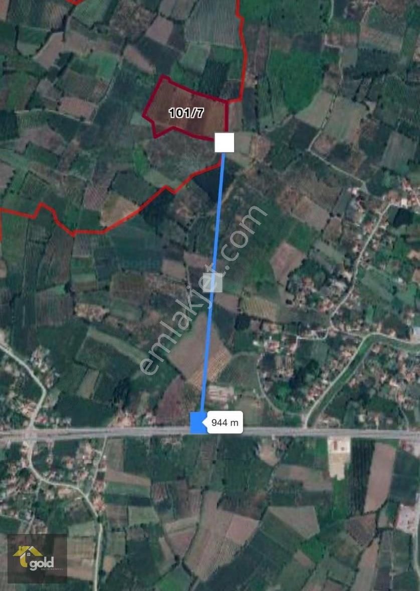 Terme Eğercili Hisse