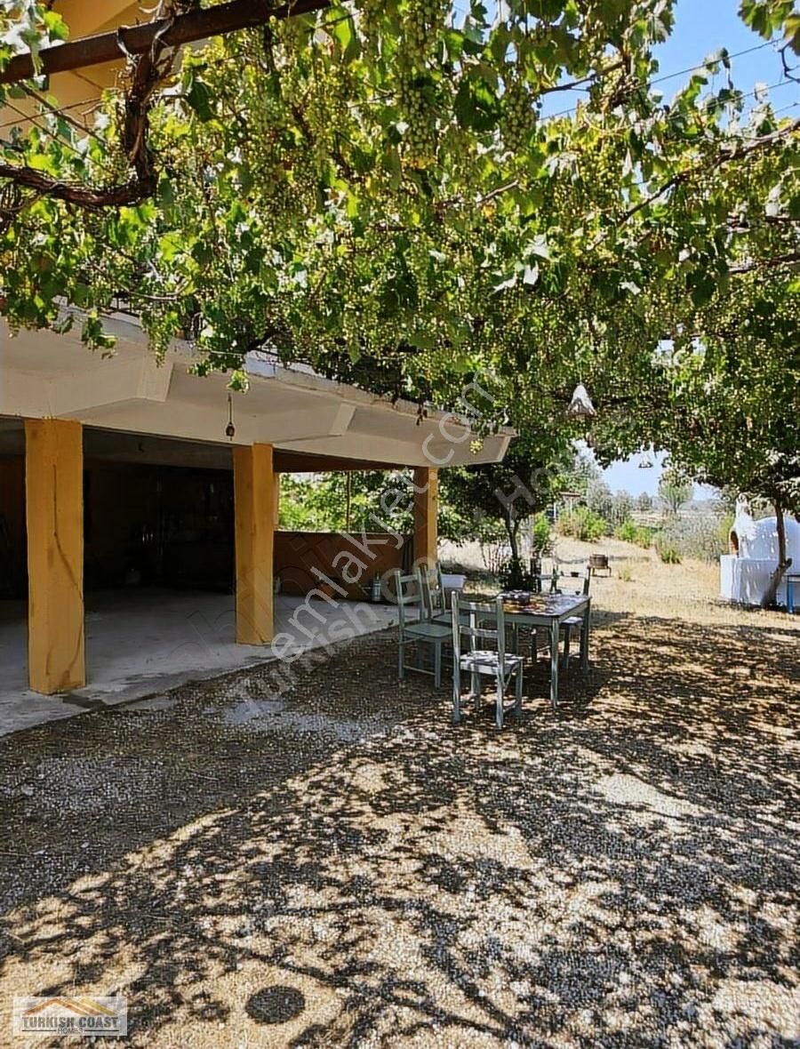 Alaçat'da 19 Dönüm Arazi Ve 2 Adet Ev - Görsel 29