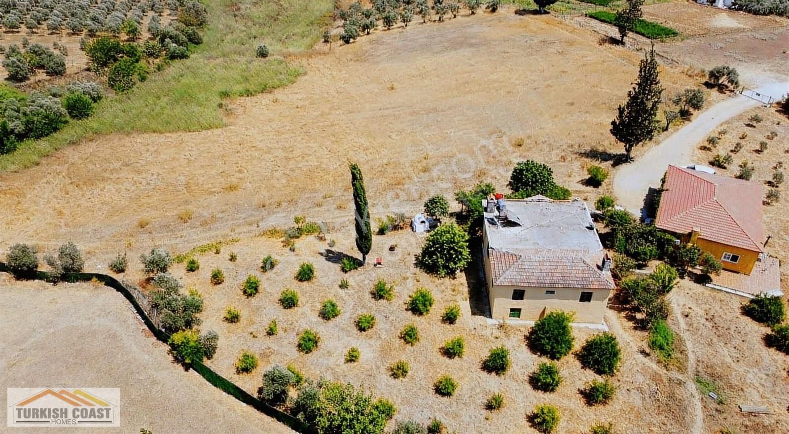 Alaçat'da 19 Dönüm Arazi Ve 2 Adet Ev - Görsel 28