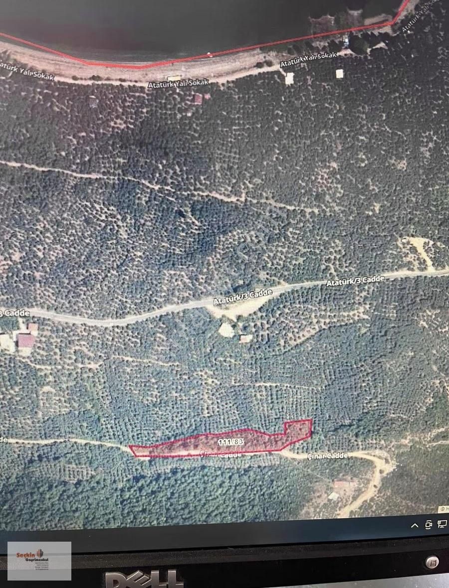 Bursa Orhangazi Narlıcada Köye Yakın 6299 M2 Göl Manzaralı - Görsel 3