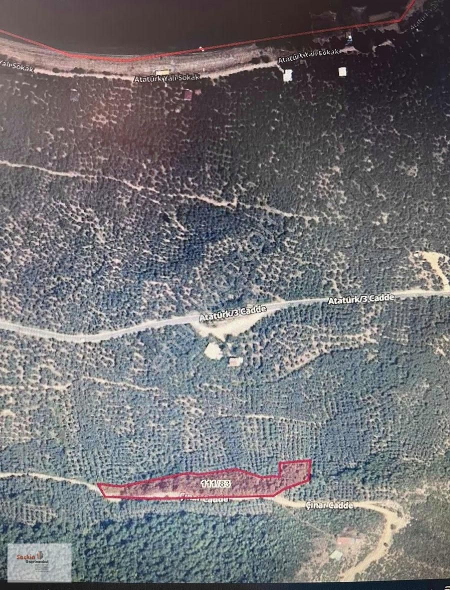 Bursa Orhangazi Narlıcada Köye Yakın 6299 M2 Göl Manzaralı - Görsel 2