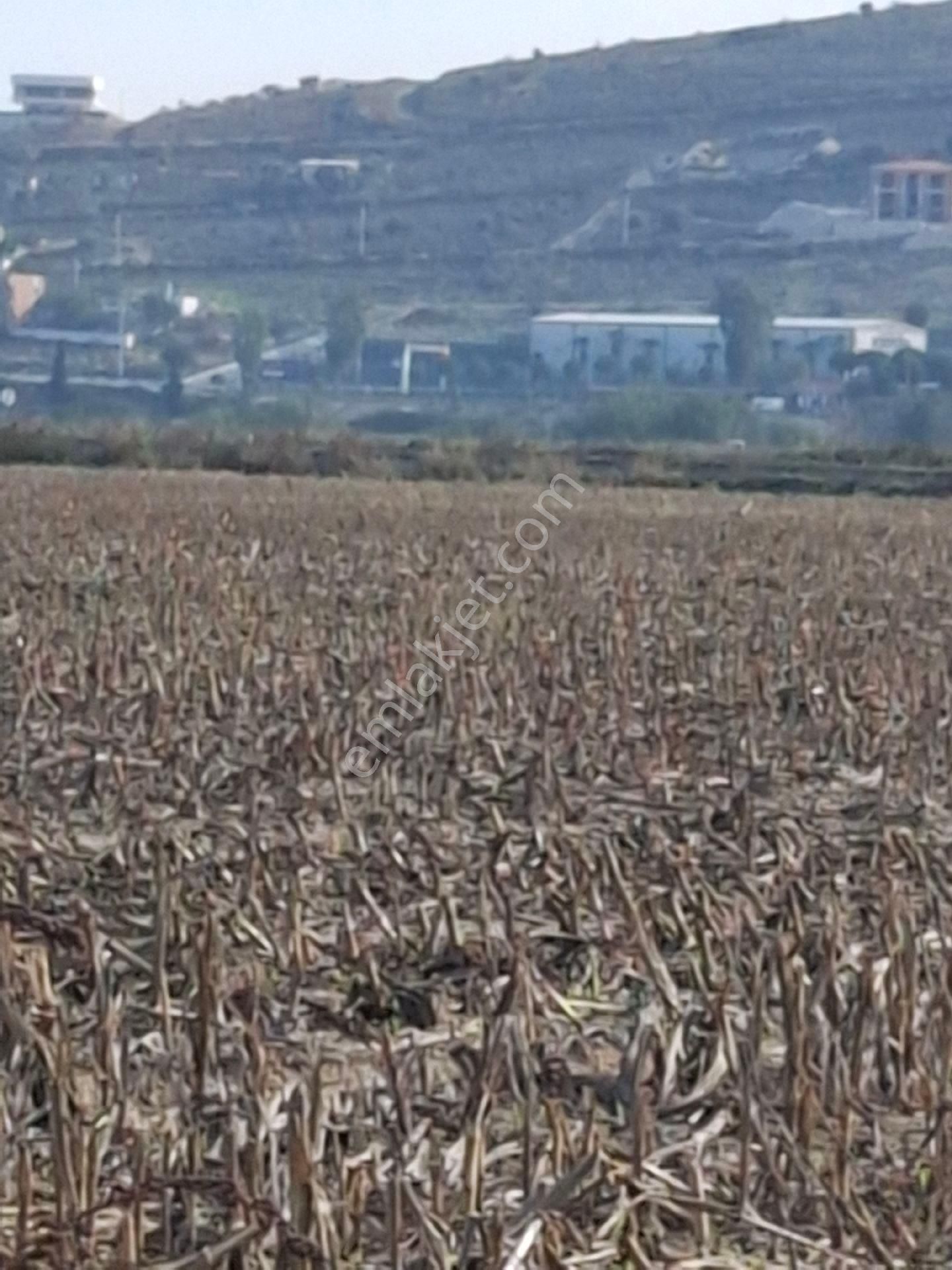 Foça Gerenköyde 345 M2 Bahçe Acil Satılıktır - Görsel 26