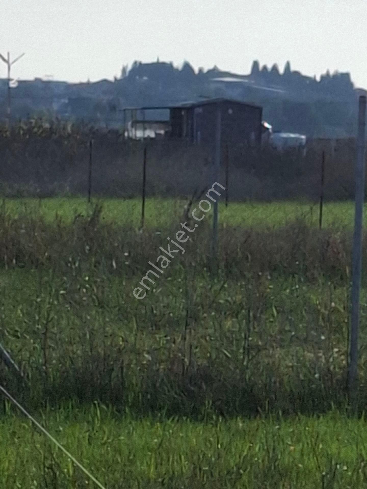 Foça Gerenköyde 345 M2 Bahçe Acil Satılıktır - Görsel 28