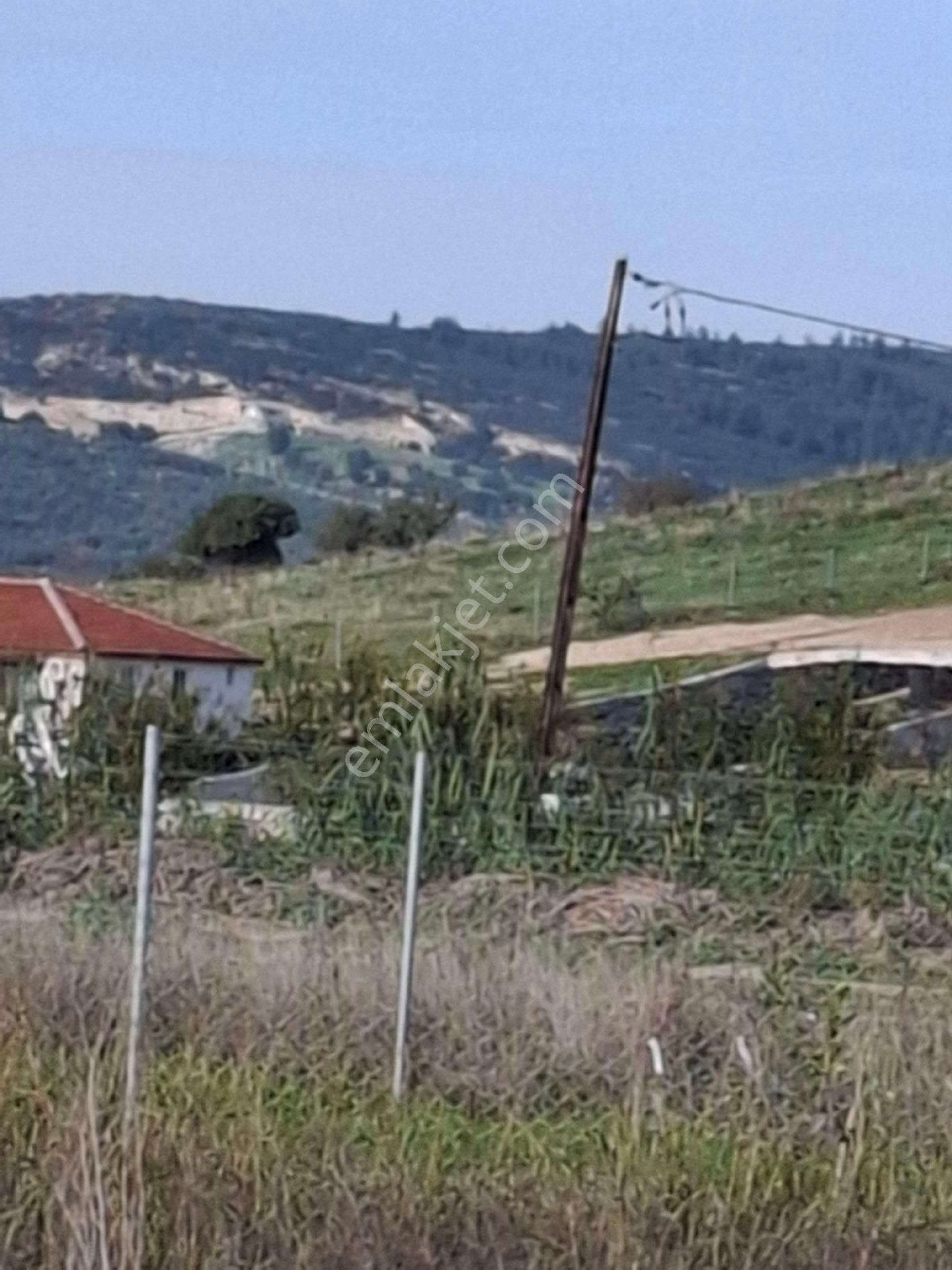 Foça Gerenköyde 345 M2 Bahçe Acil Satılıktır - Görsel 21