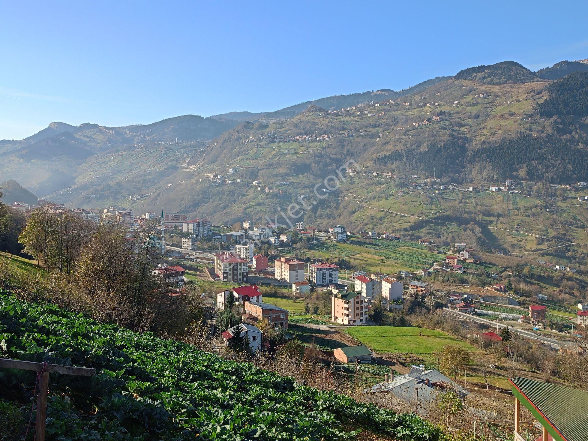 Düzköy' De 4232 M2 Satılık Fırsat Villalık Orman Arazisi - Görsel 31