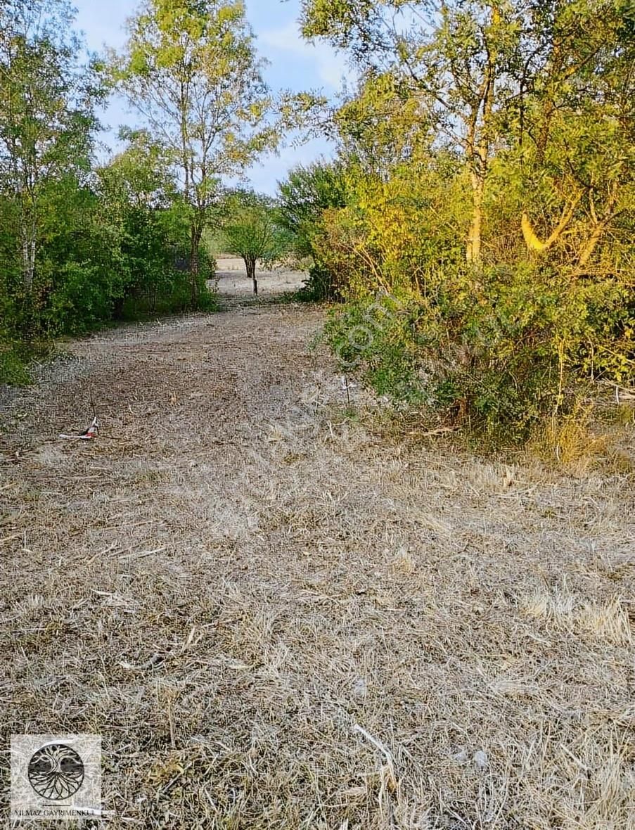 Şile Göçe Köyünde 333 M2 Yola Cephe Satılık Arazi - Görsel 6