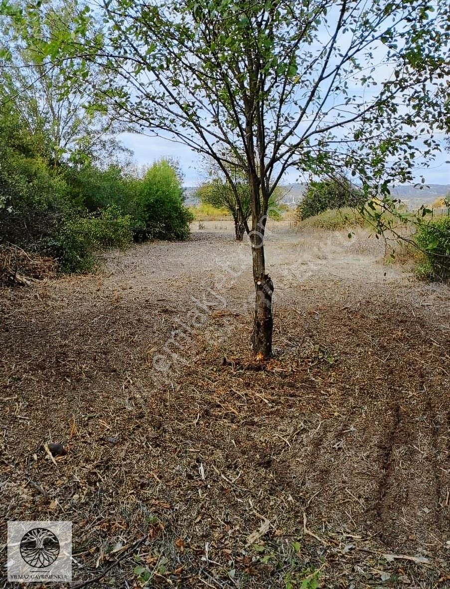 Şile Göçe Köyünde 333 M2 Yola Cephe Satılık Arazi - Görsel 4