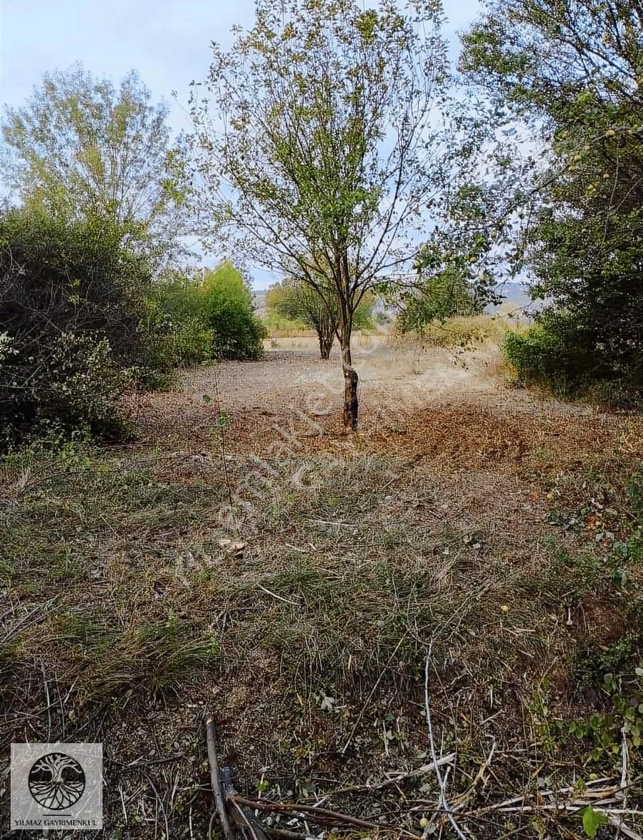 Şile Göçe Köyünde 333 M2 Yola Cephe Satılık Arazi