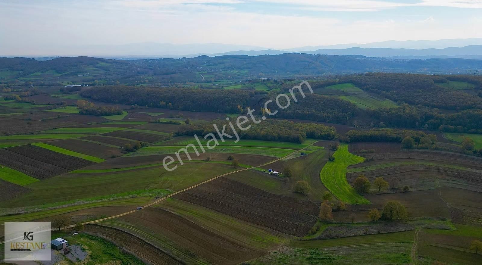 Resmi Yola 23m Cephe| Korucuk Ve Doğa Manzaralı Tarla - Görsel 4