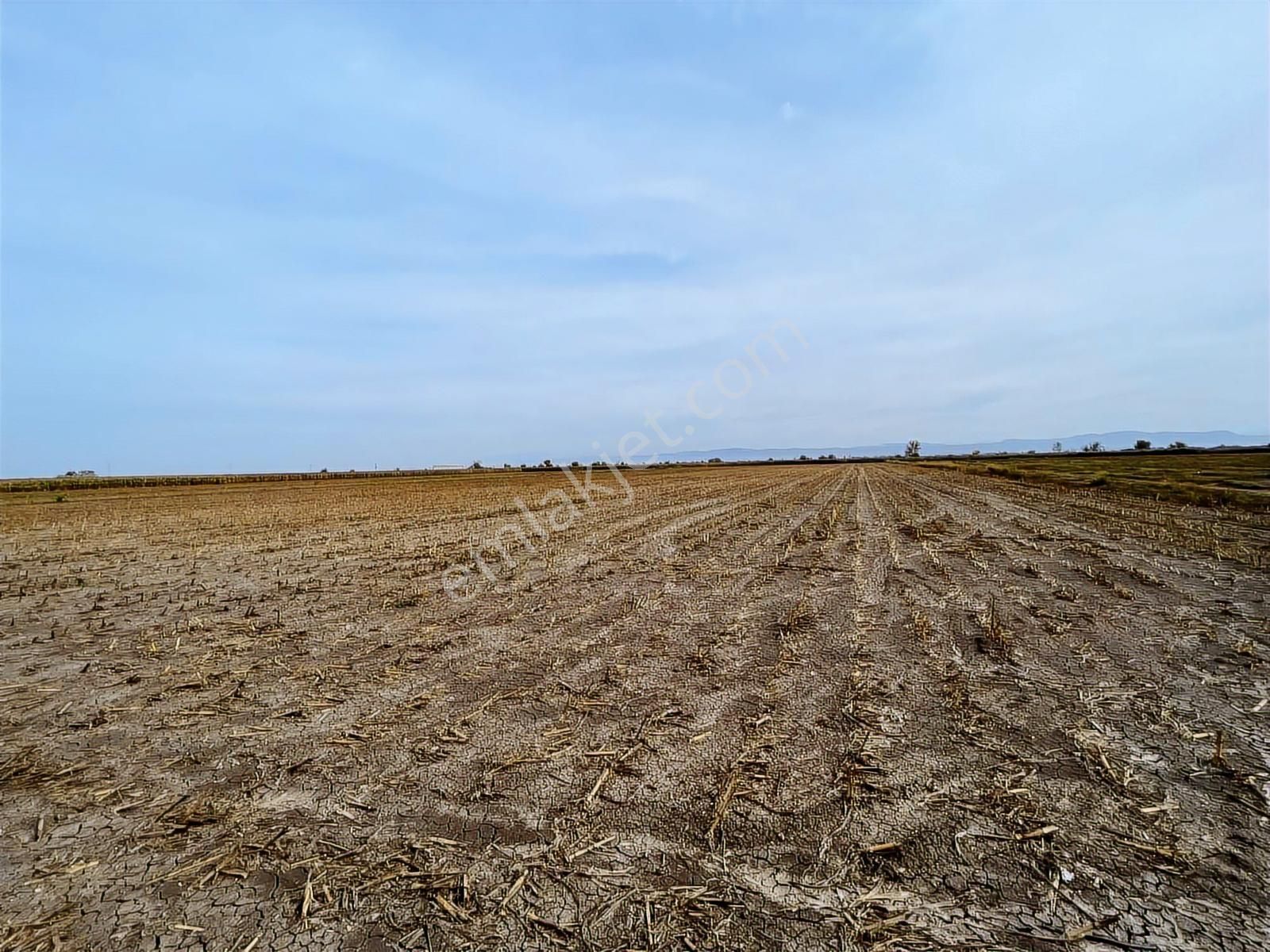 Bundan Ucuzu Yok - Görsel 2