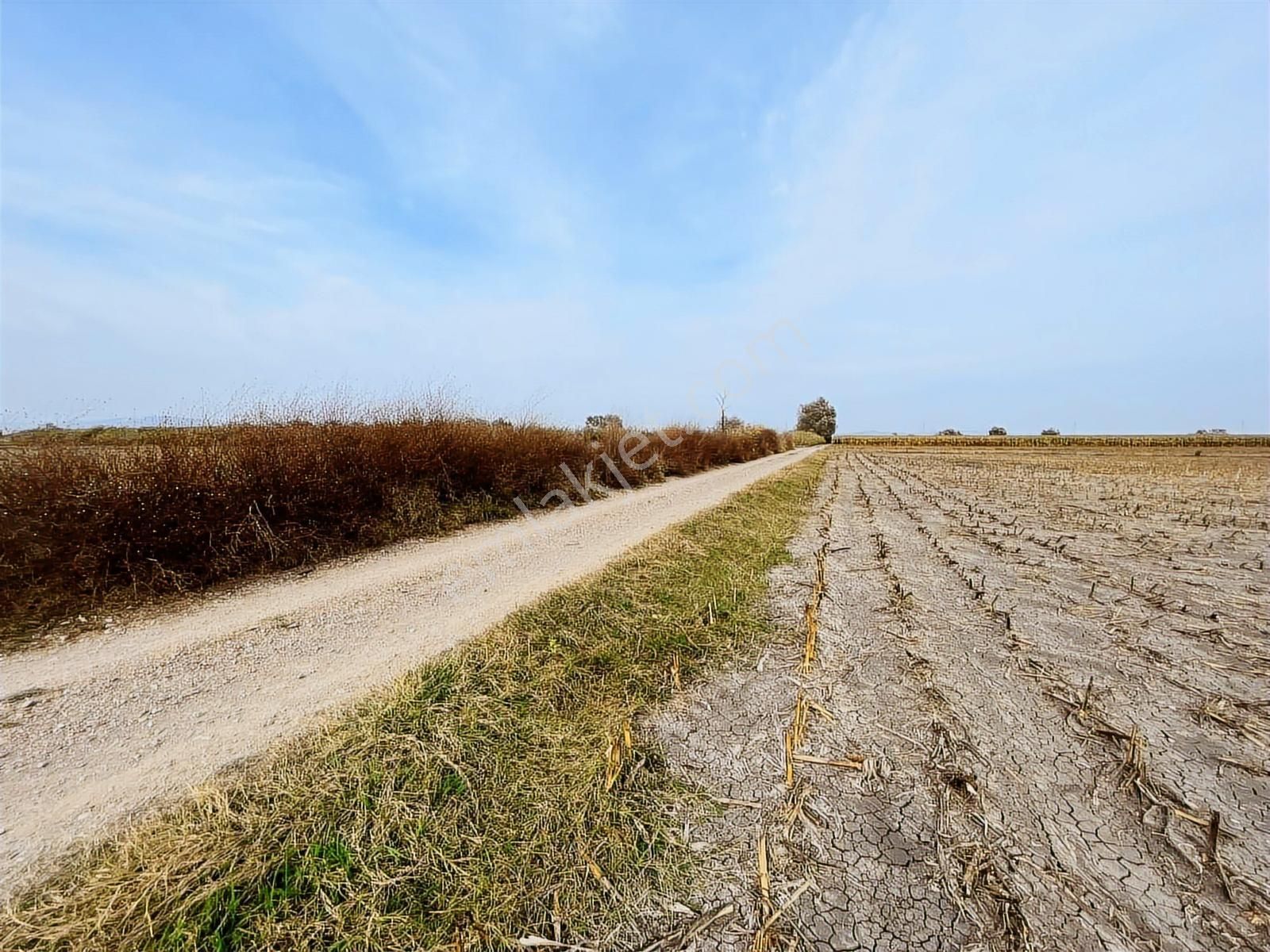 Bundan Ucuzu Yok - Görsel 21