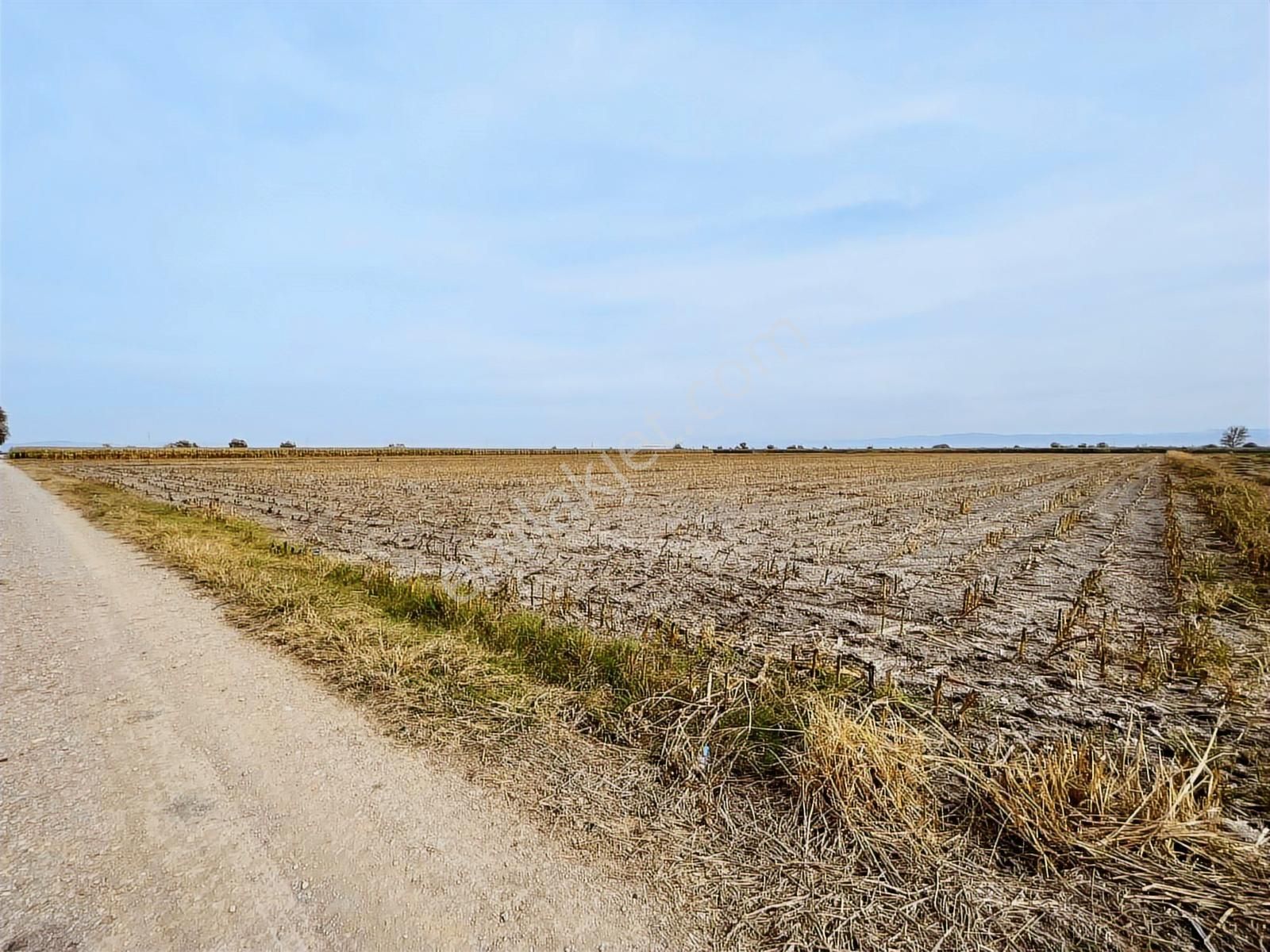 Bundan Ucuzu Yok - Görsel 5