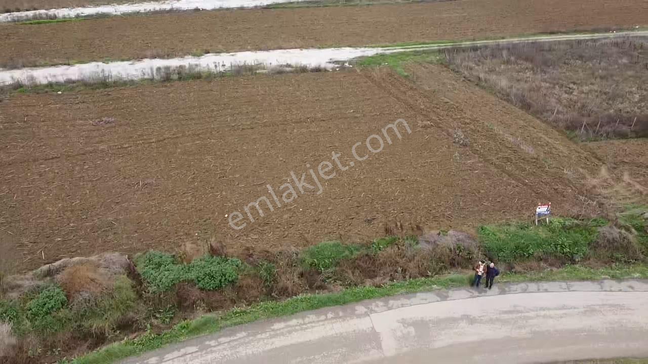 Adapazarı Korucukta Konut İmarlı Satılık Arsa - Görsel 15