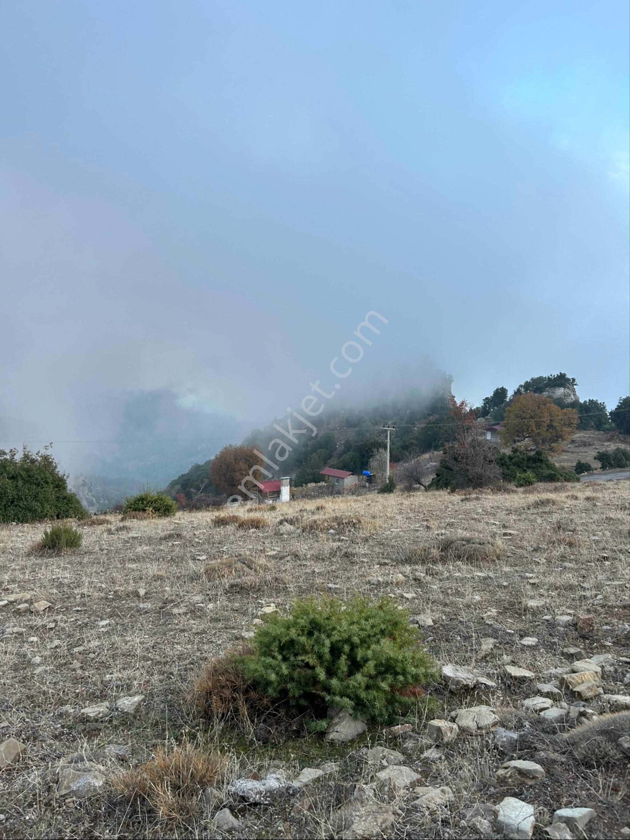 Konyaaltında Doğa Manzaralı-asfalt Yanı-yatırım Değerli Tarla - Görsel 4