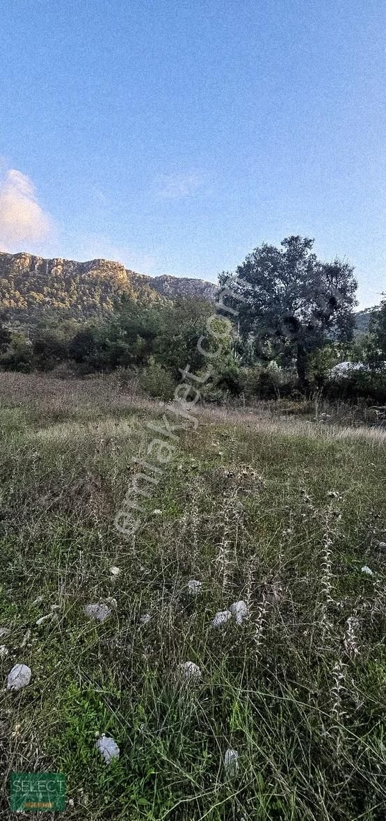 Marmaris Bayır Köyünde Kadastral Yola Cephe 779 M² Satılık Tarla - Görsel 2