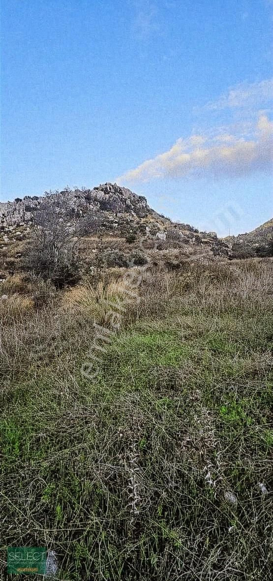 Marmaris Bayır Köyünde Kadastral Yola Cephe 779 M² Satılık Tarla - Görsel 5