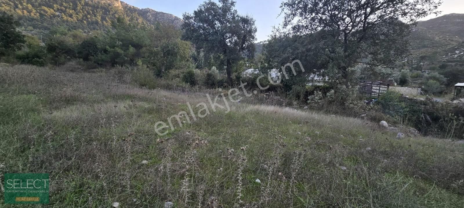 Marmaris Bayır Köyünde Kadastral Yola Cephe 779 M² Satılık Tarla - Görsel 6