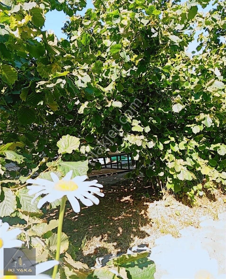 Resmi Kayıtlı Tapuya İşlenmiş Müstakil Ev Ve Arsa - Görsel 14