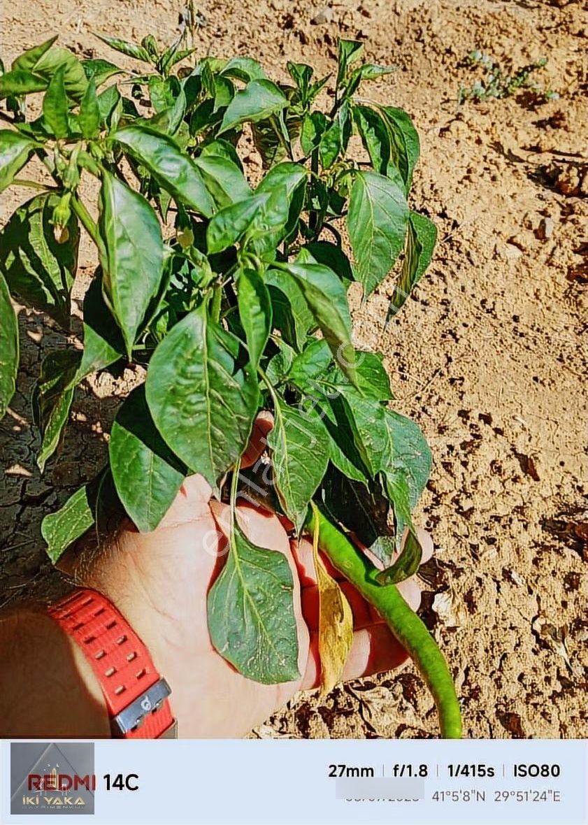 Resmi Kayıtlı Tapuya İşlenmiş Müstakil Ev Ve Arsa - Görsel 3