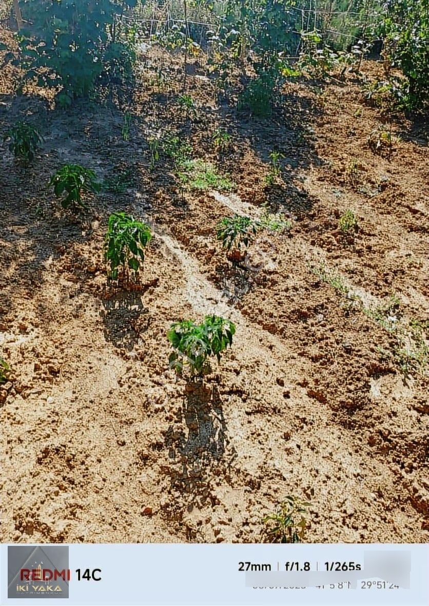 Resmi Kayıtlı Tapuya İşlenmiş Müstakil Ev Ve Arsa - Görsel 4