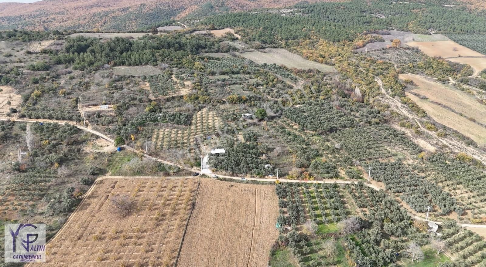 Yng Altın Gayrimenkulden Yenişehir Kavaklı Köyünde Satılık Tarla - Görsel 12