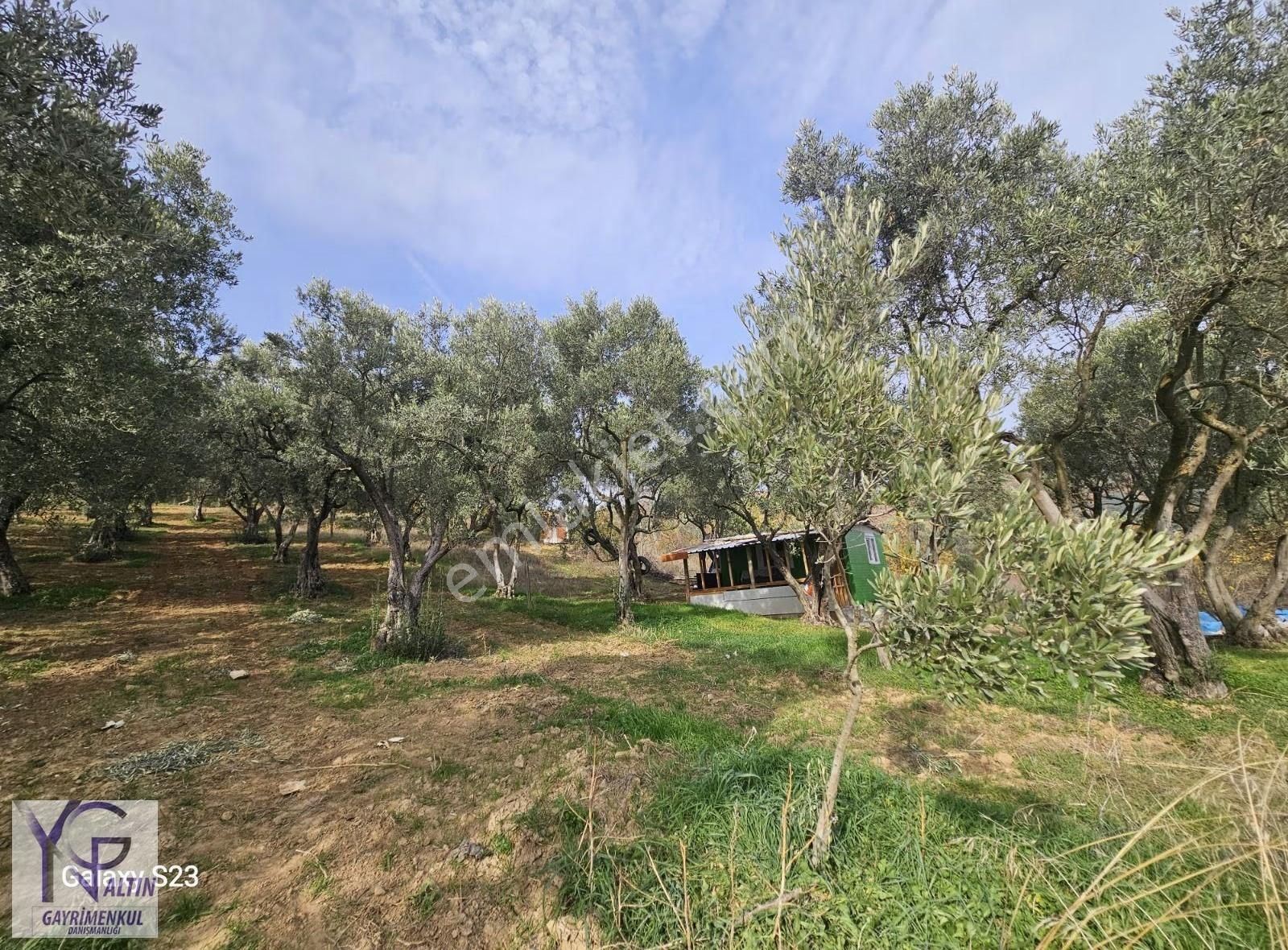 Yng Altın Gayrimenkulden Yenişehir Kavaklı Köyünde Satılık Tarla - Görsel 10