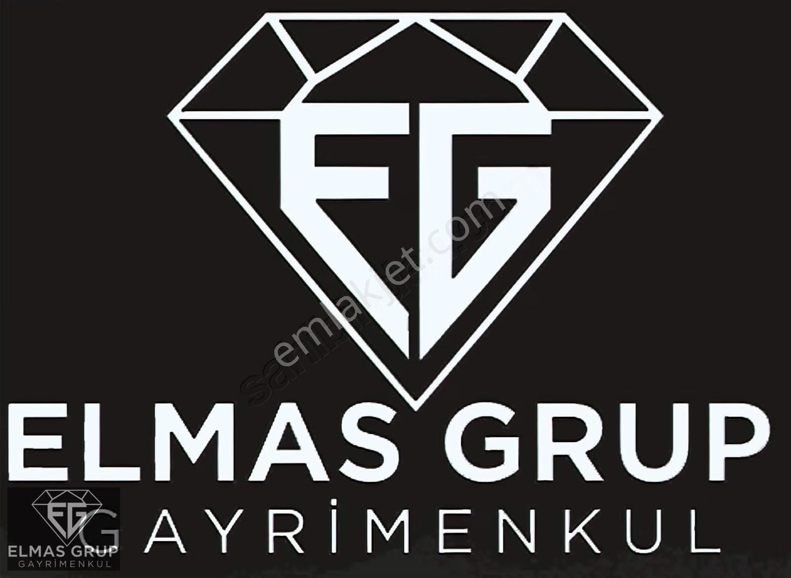 Sakarya Kocaali Kirazlık 6.970,75 M² Fındık Bahçesi - Görsel 2