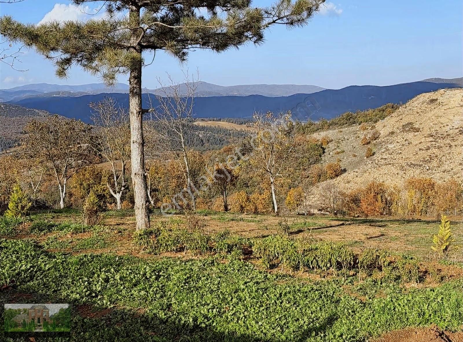 250m2 Yolu Suyu Olan Parsel - Görsel 15