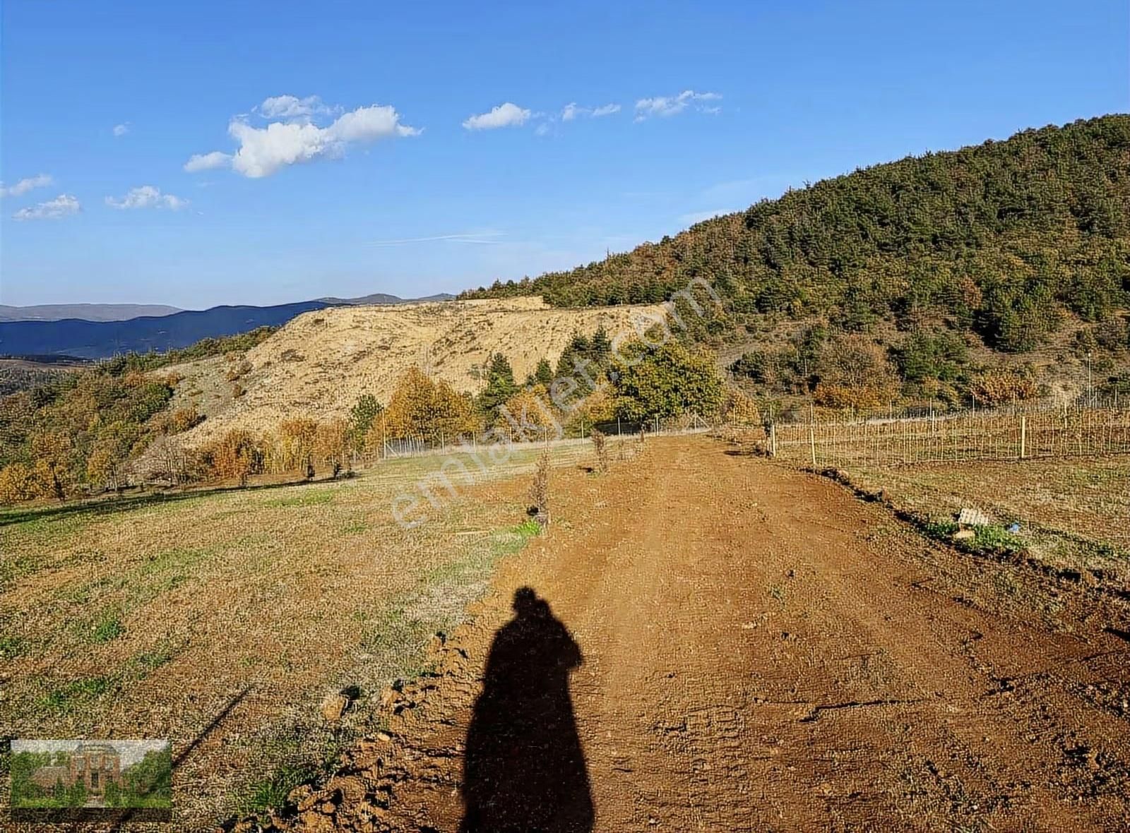 250m2 Yolu Suyu Olan Parsel - Görsel 11