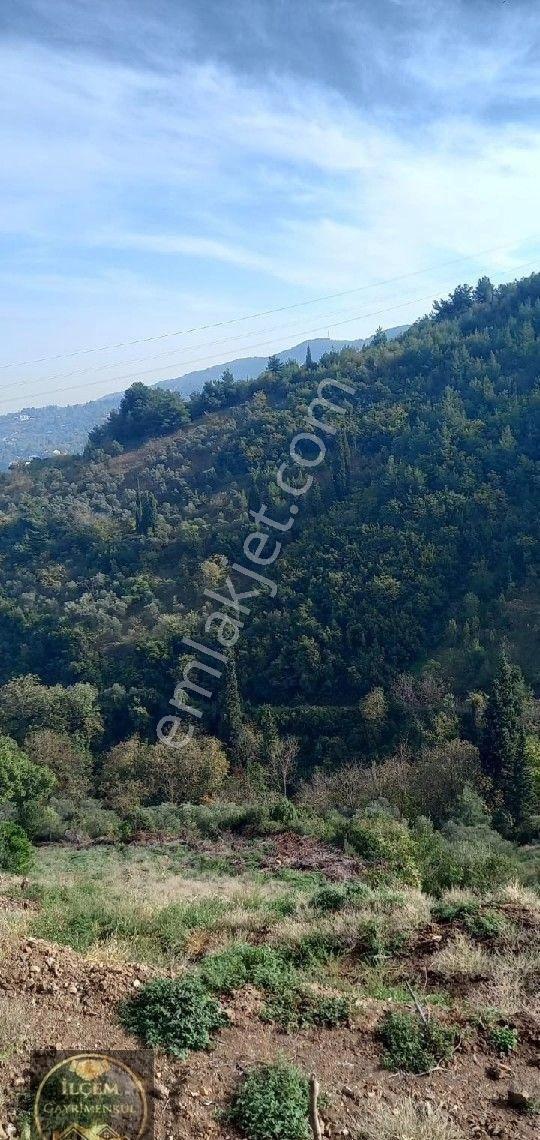 Gölcük Ulaşli Yalıda Full Deniz Manzaralı Tarla - Görsel 2