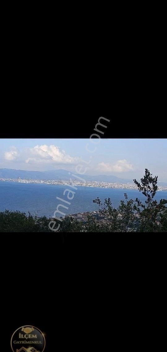 Gölcük Ulaşli Yalıda Full Deniz Manzaralı Tarla - Görsel 10