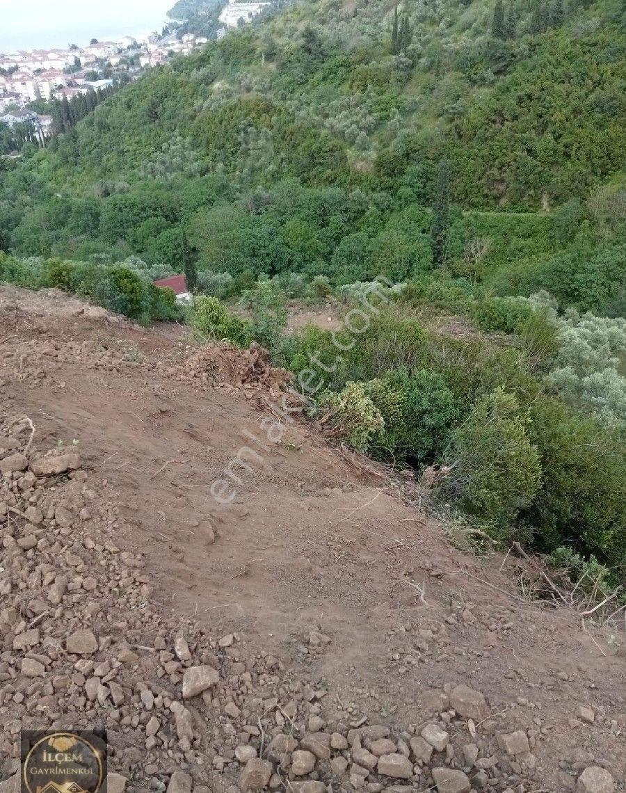 Gölcük Ulaşli Yalıda Full Deniz Manzaralı Tarla - Görsel 3