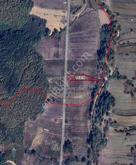 Fırsat!!! Kandıra Çalca'da Asfalt Cepheli 1850 M² - Görsel 4