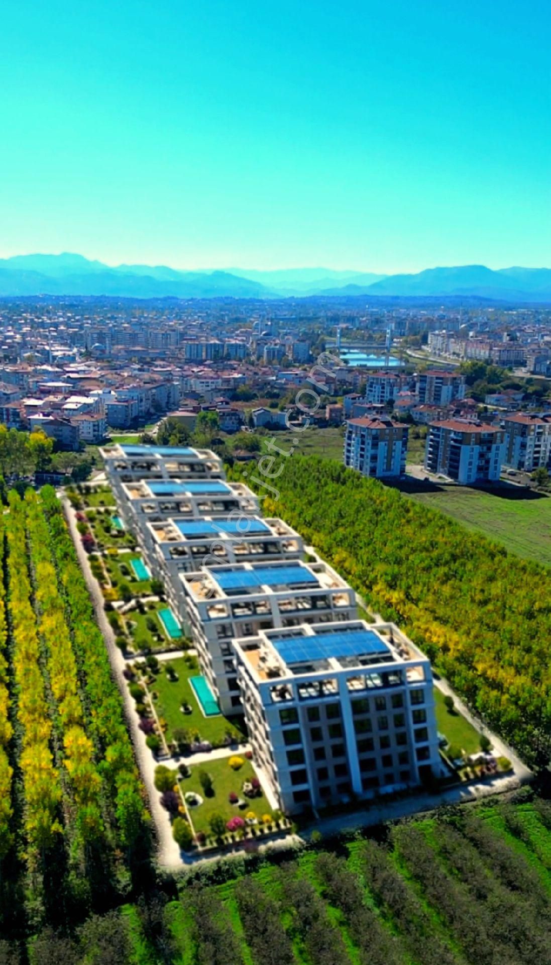 Truva/nazım Demirci'den Çarşamba Bafracalı Satılık 16dönüm Arazi - Görsel 5