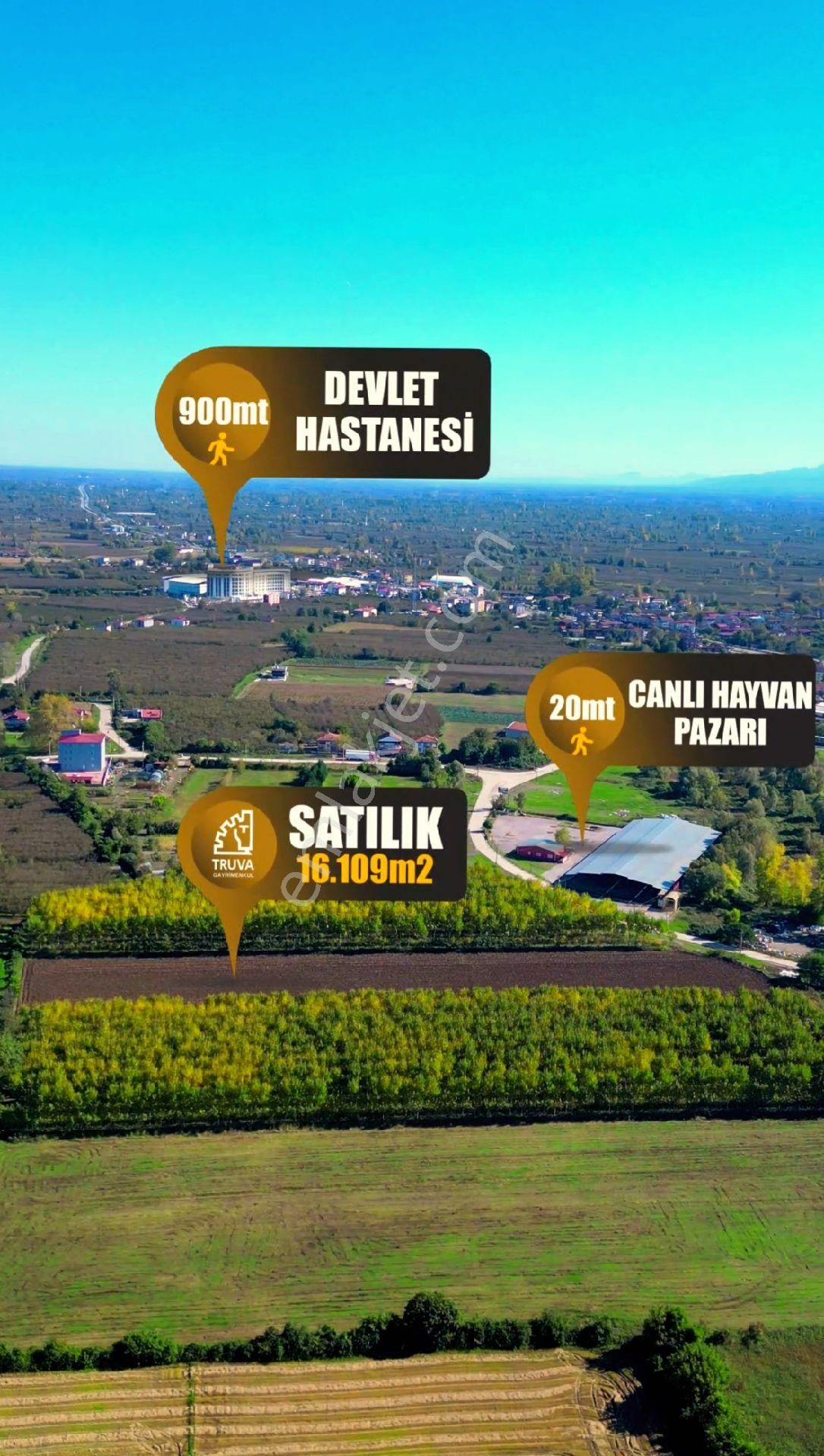 Truva/nazım Demirci'den Çarşamba Bafracalı Satılık 16dönüm Arazi - Görsel 6