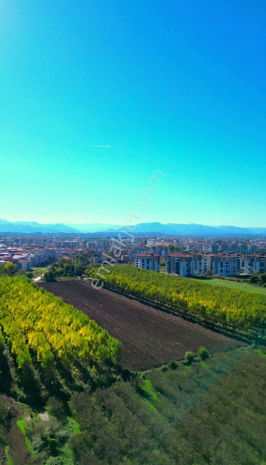 Truva/nazım Demirci'den Çarşamba Bafracalı Satılık 16dönüm Arazi - Görsel 9