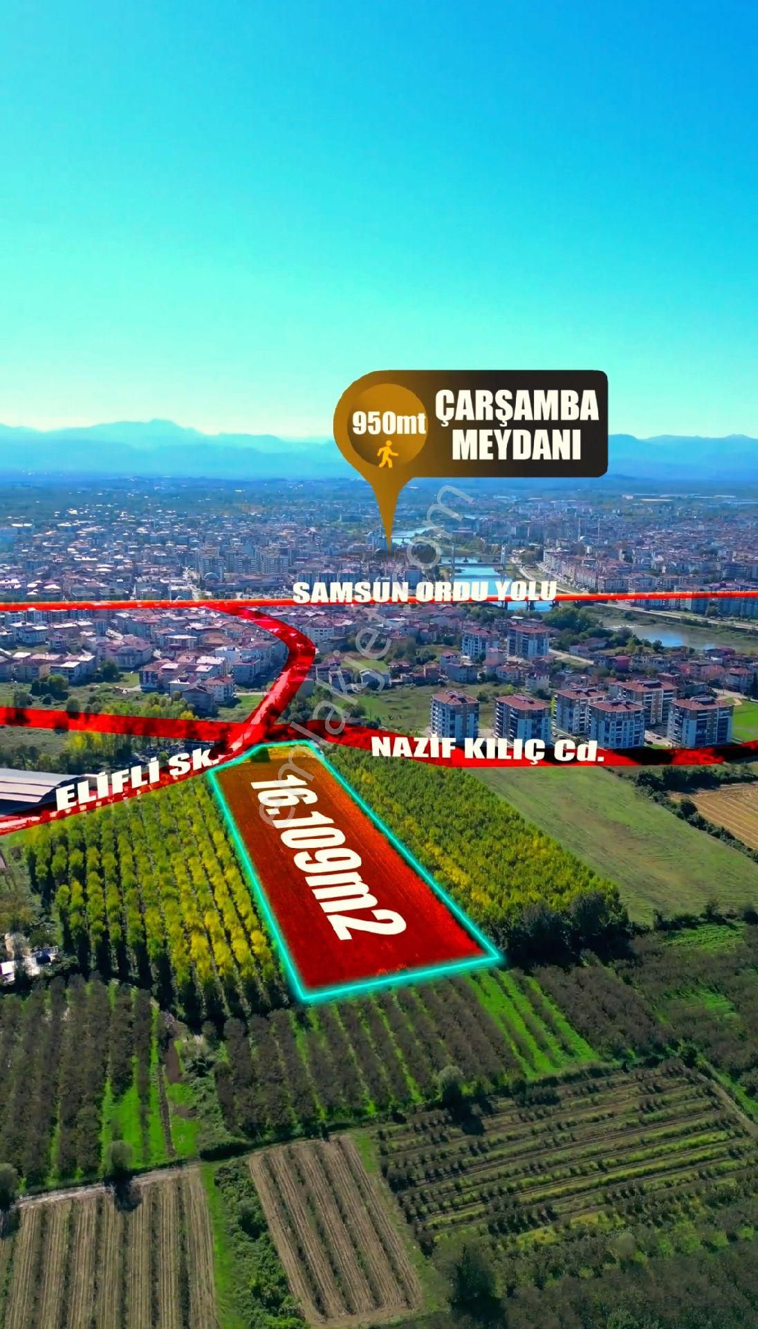 Truva/nazım Demirci'den Çarşamba Bafracalı Satılık 16dönüm Arazi - Görsel 17