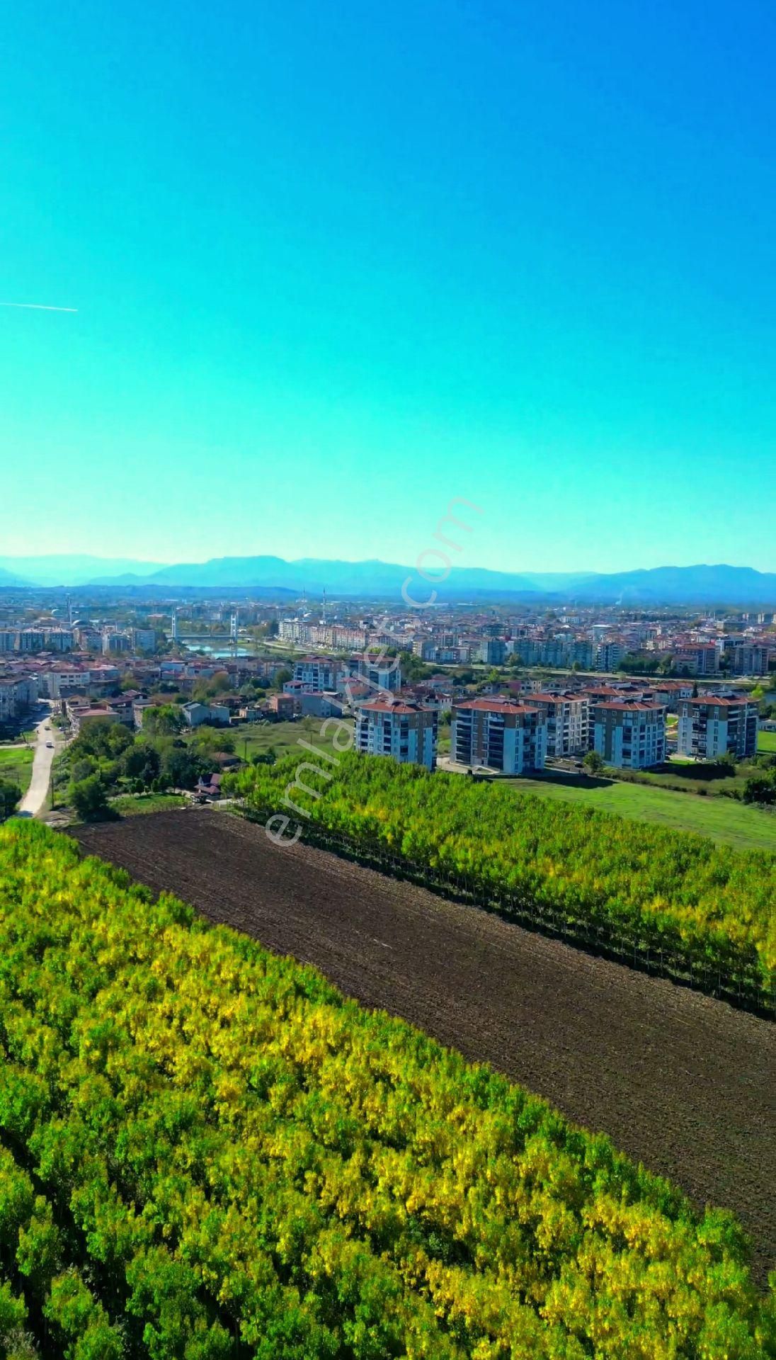 Truva/nazım Demirci'den Çarşamba Bafracalı Satılık 16dönüm Arazi - Görsel 11