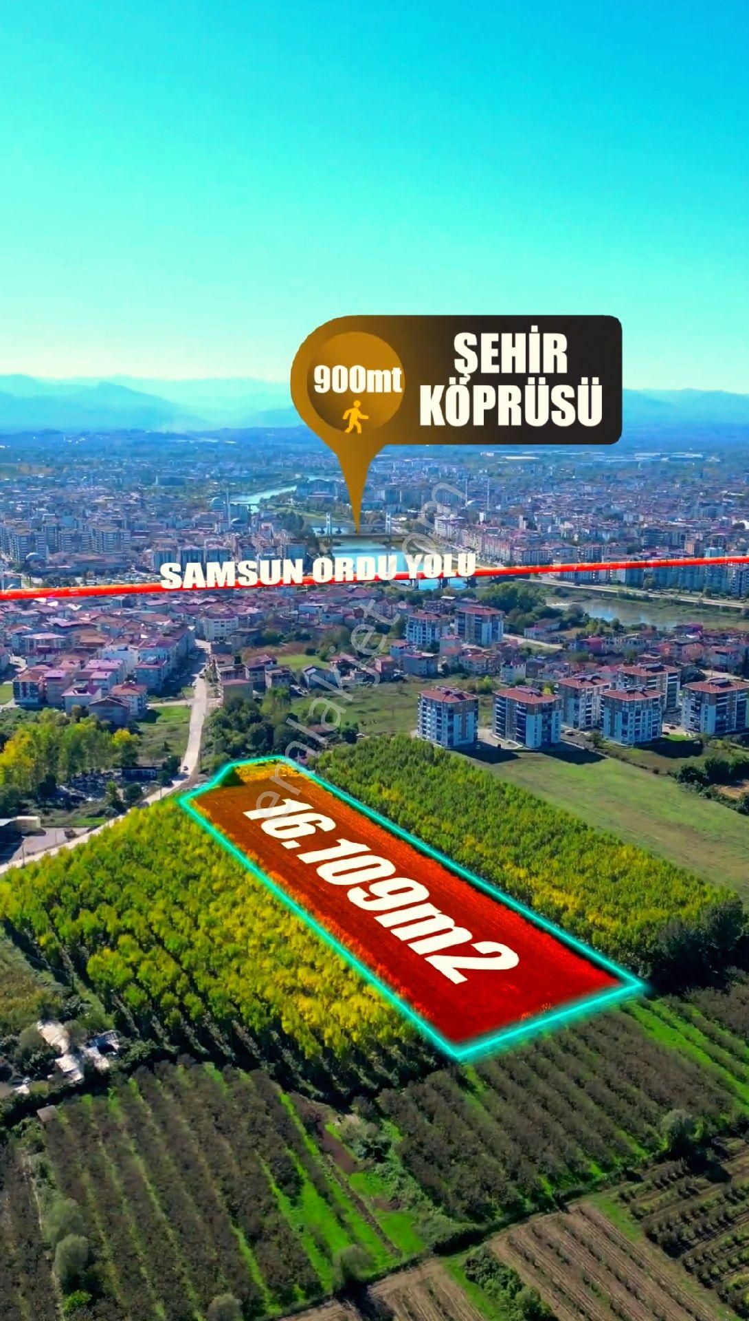 Truva/nazım Demirci'den Çarşamba Bafracalı Satılık 16dönüm Arazi - Görsel 10