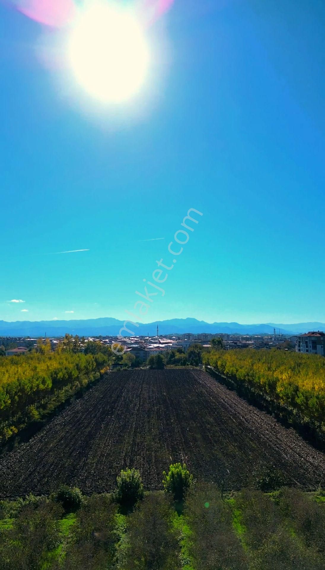 Truva/nazım Demirci'den Çarşamba Bafracalı Satılık 16dönüm Arazi - Görsel 16