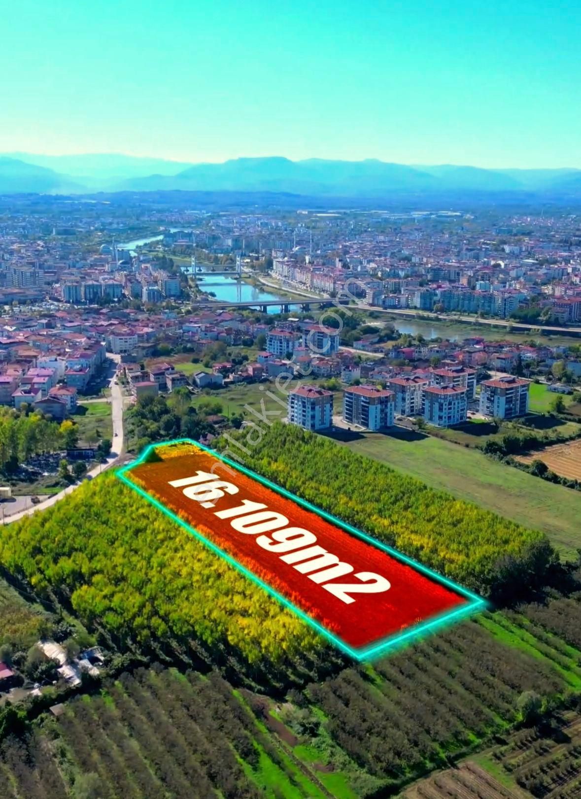 Truva/nazım Demirci'den Çarşamba Bafracalı Satılık 16dönüm Arazi - Görsel 18