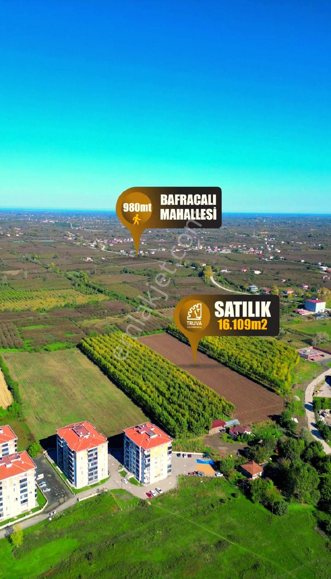 Truva/nazım Demirci'den Çarşamba Bafracalı Satılık 16dönüm Arazi - Görsel 19