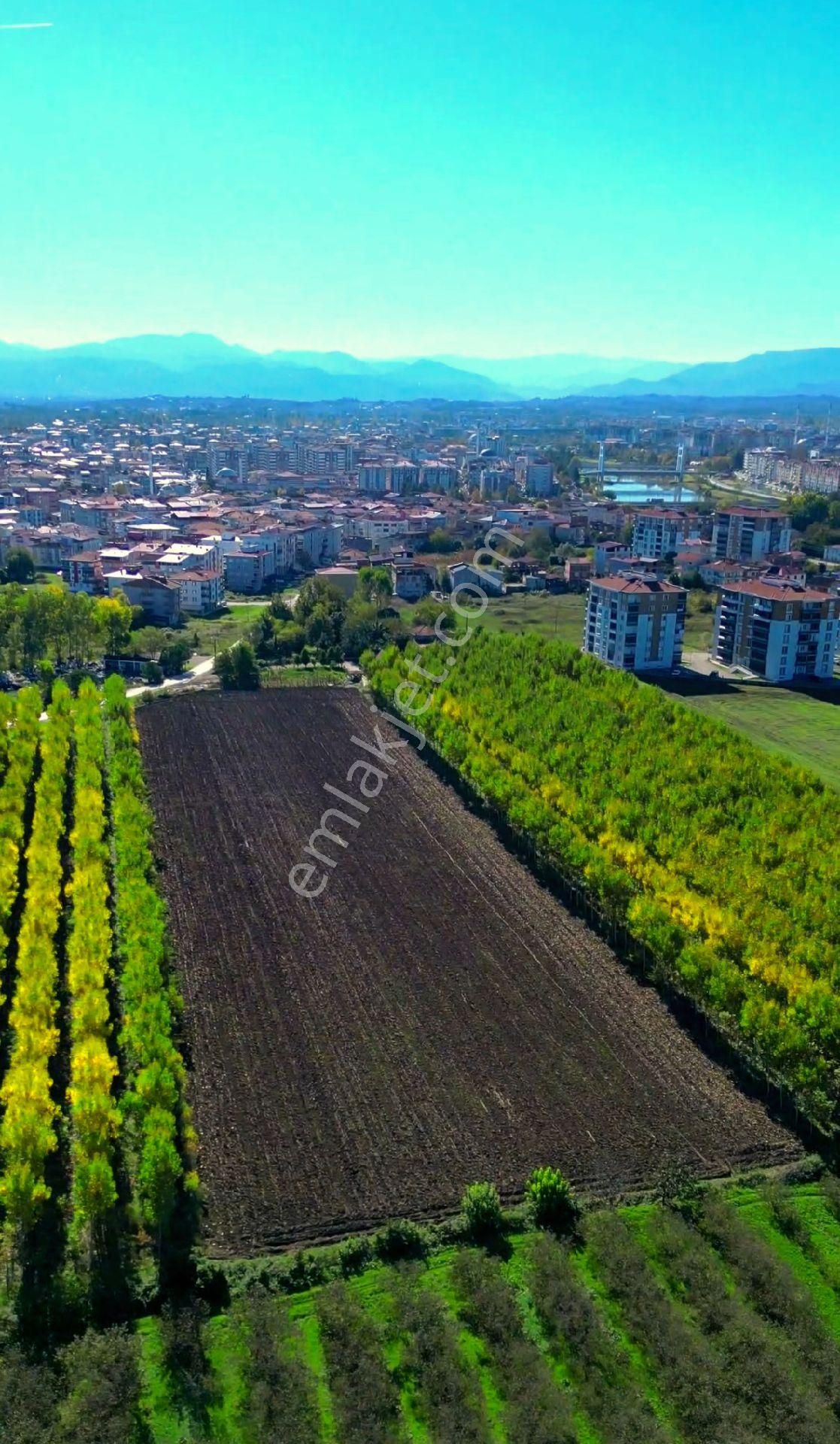 Truva/nazım Demirci'den Çarşamba Bafracalı Satılık 16dönüm Arazi - Görsel 20