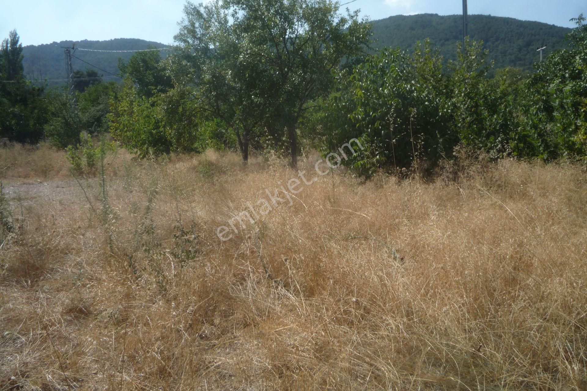 İzmir Torbalı Gold Emlaktan Satılık Bahçe - Görsel 10