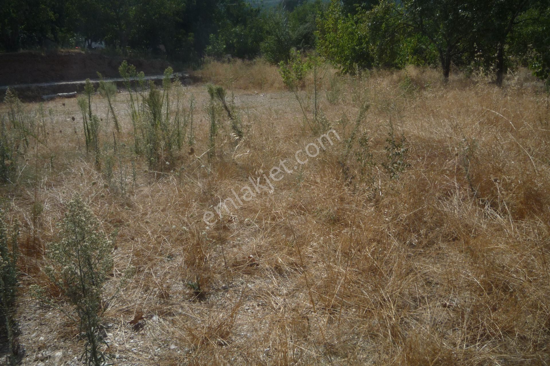 İzmir Torbalı Gold Emlaktan Satılık Bahçe - Görsel 9