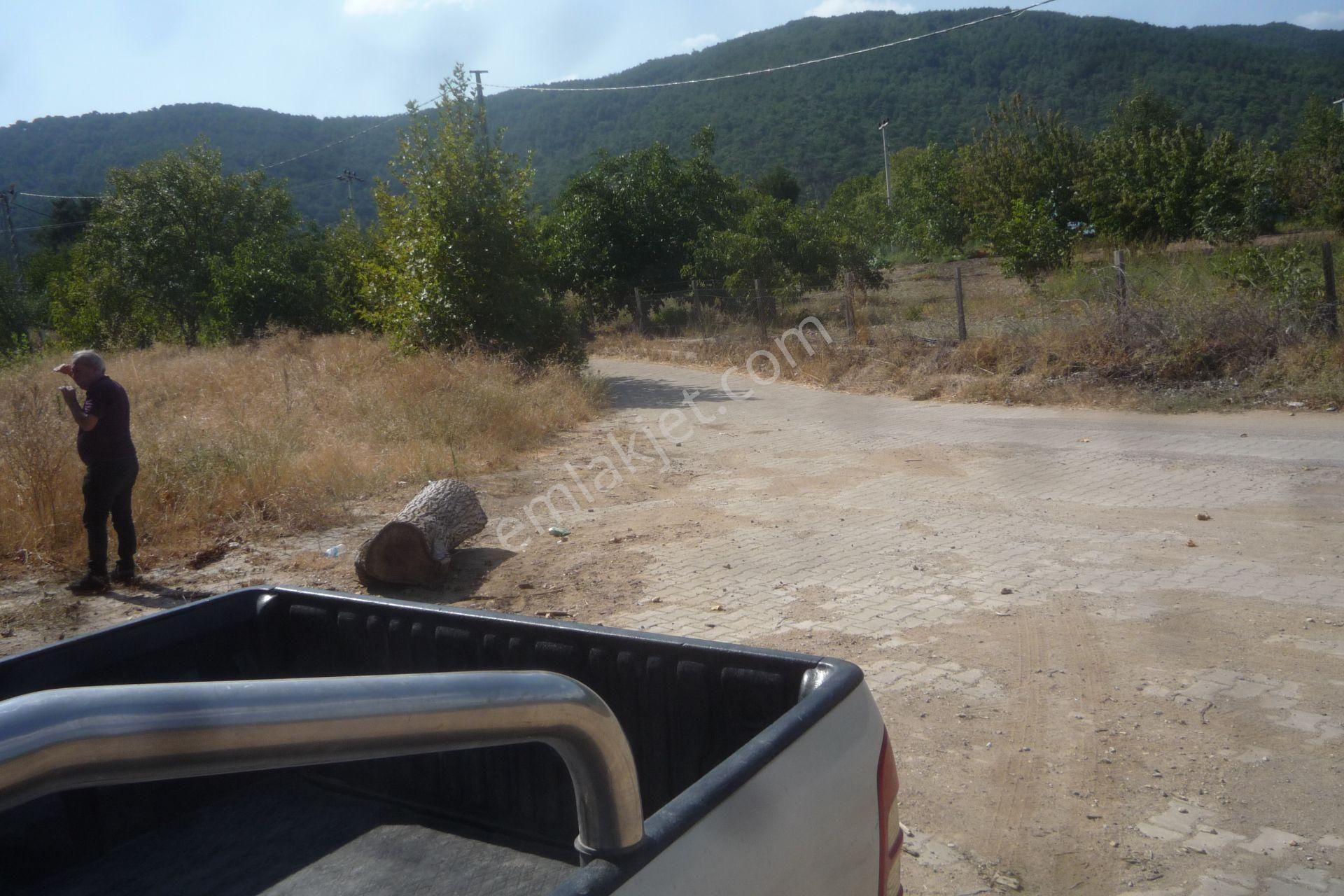 İzmir Torbalı Gold Emlaktan Satılık Bahçe - Görsel 2