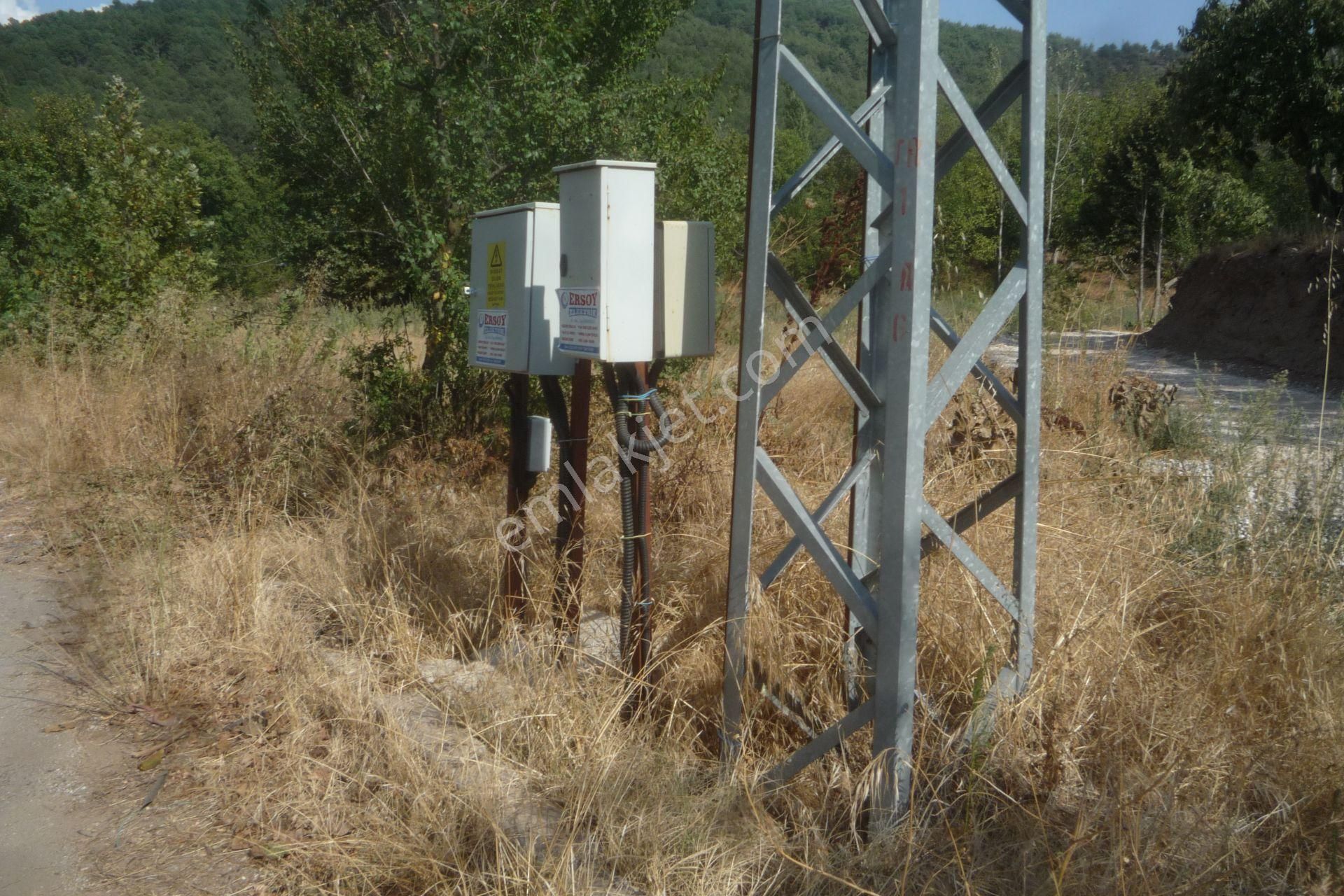 İzmir Torbalı Gold Emlaktan Satılık Bahçe - Görsel 12