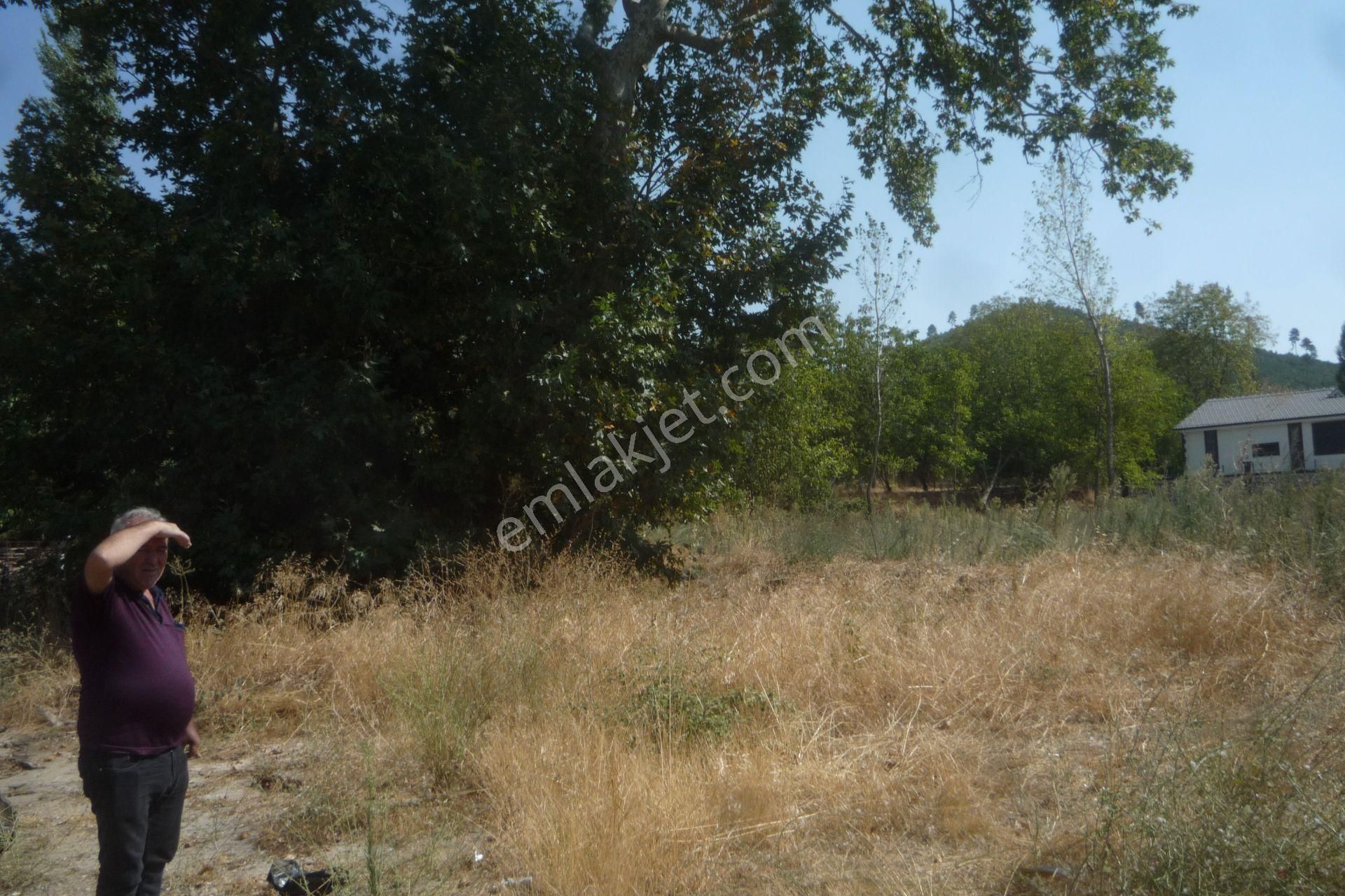 İzmir Torbalı Gold Emlaktan Satılık Bahçe - Görsel 4