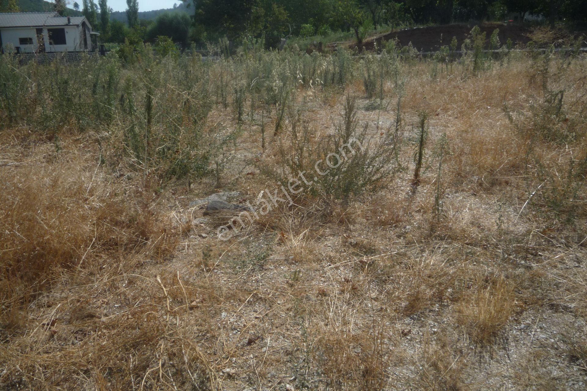 İzmir Torbalı Gold Emlaktan Satılık Bahçe - Görsel 6